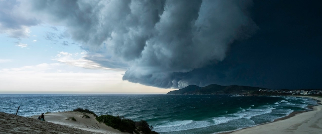 ‘Safe harbour’ protections may help Australian startups and scaleups ride out the current storm